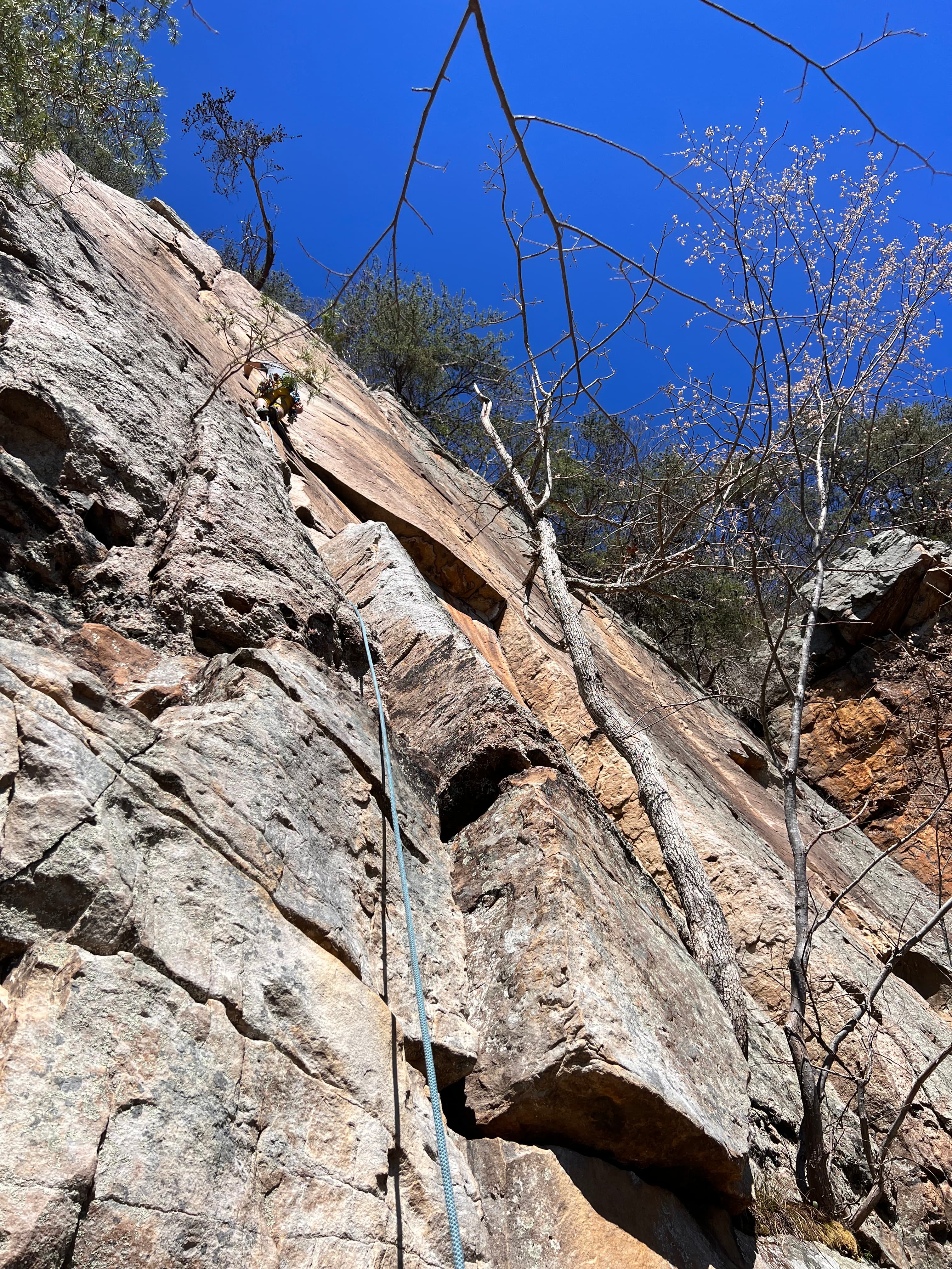 Photo of Tennessee Wall, The