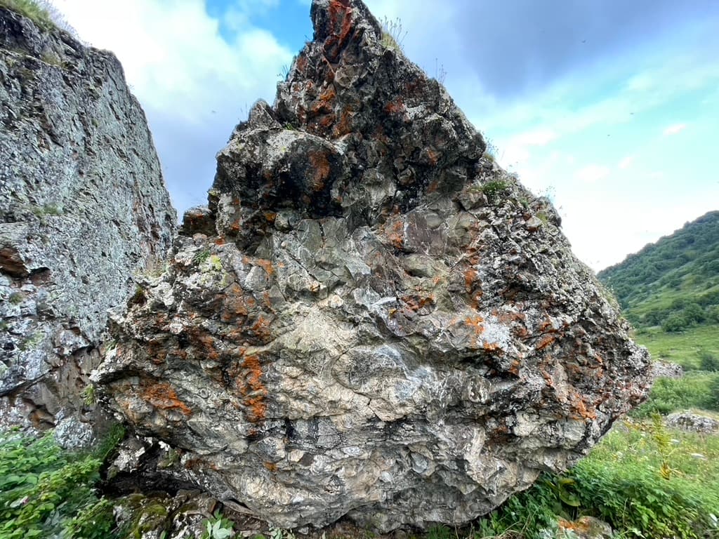 Photo of Test Area 2014