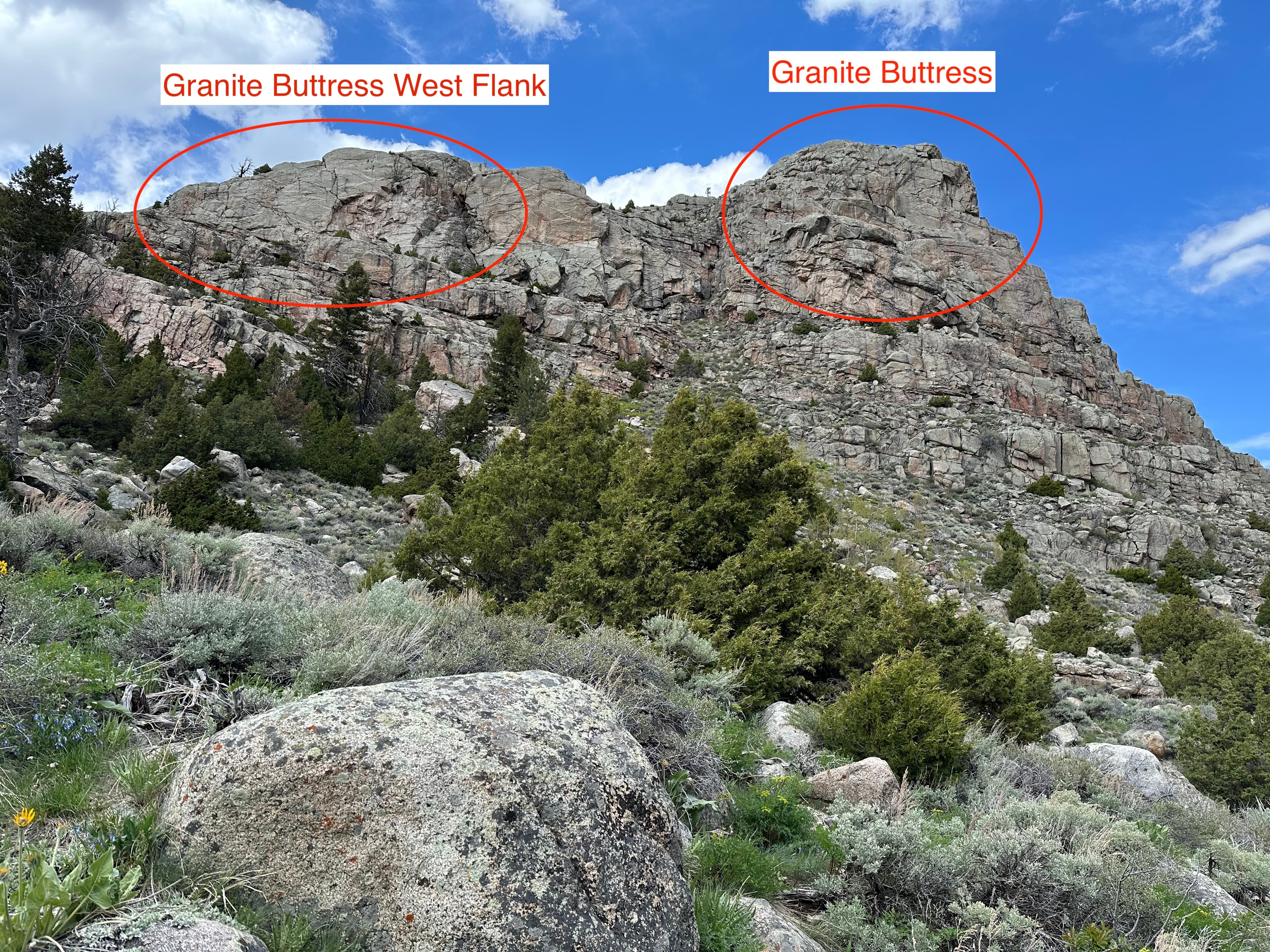 Photo of Lander Area
