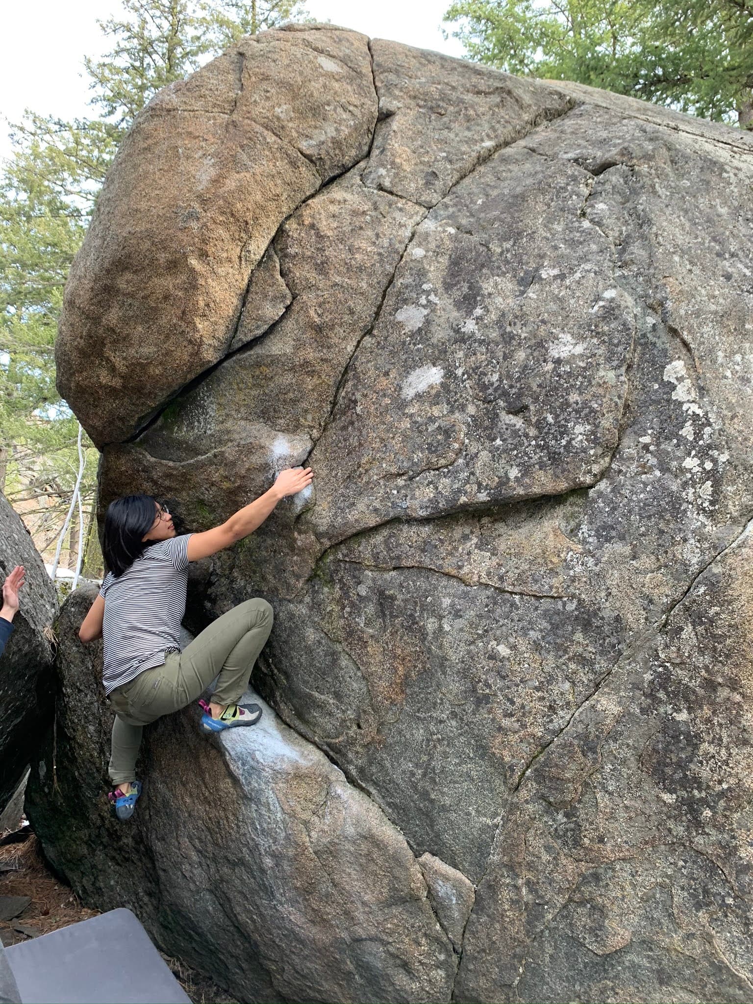 Photo of Forestland Boulders